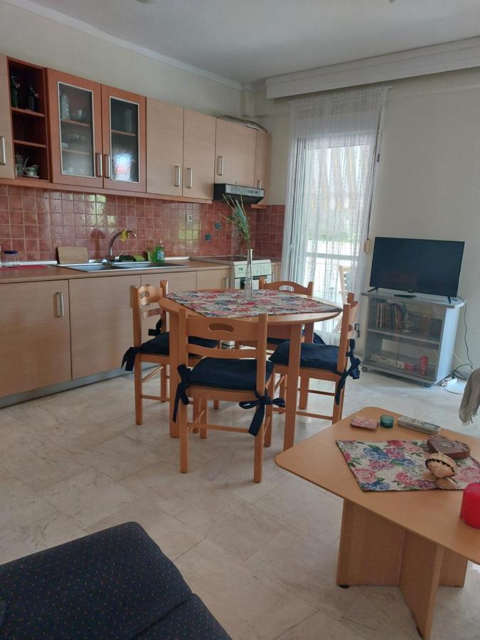 Luminosa Village Apartment Nea Iraklitsa エクステリア 写真